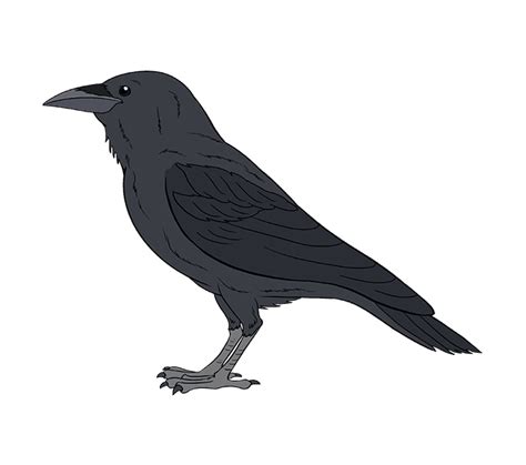 How to Draw a Raven | Step-by-Step Tutorial | Easy Drawing Guides