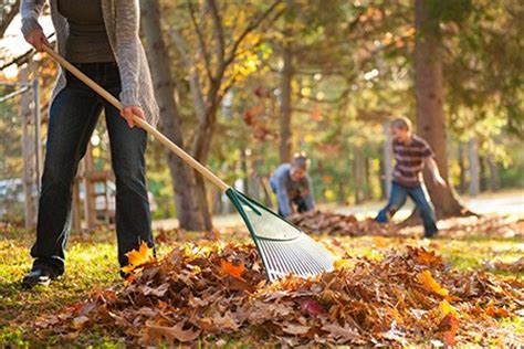 Safe Raking for Autumn - Dr. Jim Gilliard