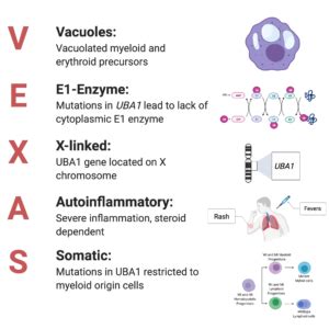 VEXAS Syndrome: A newly discovered disease and a call to action - Samuel J. Magaziner