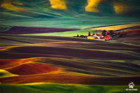 The Palouse Region of Washington State | Backcountry Gallery Photography Forums