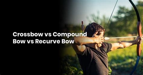 Crossbow vs Compound Bow vs Recurve Bow For Hunting