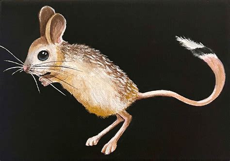 Jerboa jumping Mice - Etsy