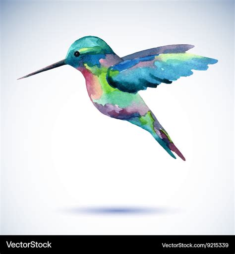 Hummingbird watercolor painting bird on the white Vector Image