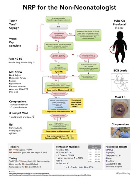 Neonatal Resuscitation | Emergency Medicine Cases | EM Cases