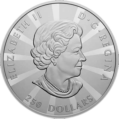 2023 Proof Silver Canadian Multifaceted Maple Leaf Coins - Silver.com™