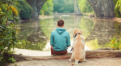 The 7 Essential Dog-Human Relationships [Which One Are You?]