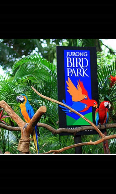 Jurong Bird Park, Tickets & Vouchers, Local Attractions & Transport on Carousell