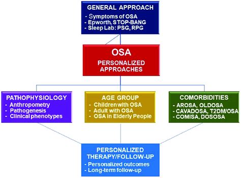 Framework of personalized approaches for diagnosis and treatment of... | Download Scientific Diagram