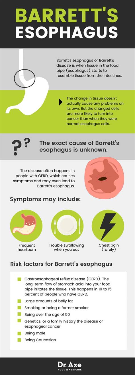 4 Natural Ways to Manage Barrett’s Esophagus | Best Pure Essential Oils