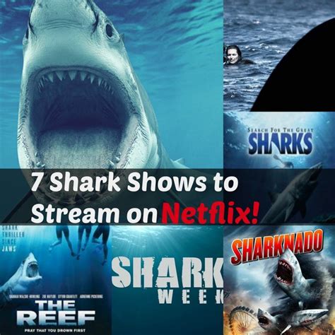 Shark Week: 7 Shark Shows to Stream on Netflix | Shark show, Netflix streaming, Shark week