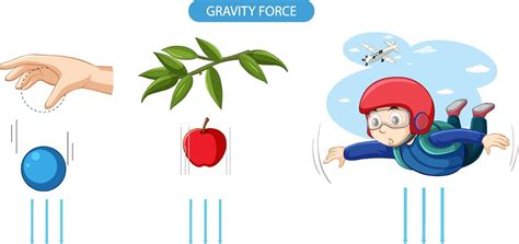 ejemplo de experimento de fuerza de gravedad 7100779 Vector en Vecteezy