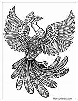 30 Animal Mandala Coloring Pages Free PDF Printables sketch template