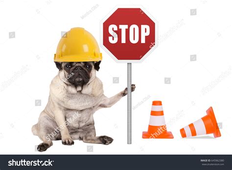 1,257 Funny Construction Signs Stock Photos, Images & Photography ...