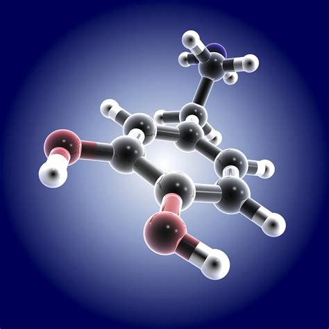 Dopamine, 3d Molecular Model Photograph by Pasieka