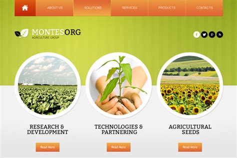 Agriculture Website Template with a Lovely Green Header - MotoCMS