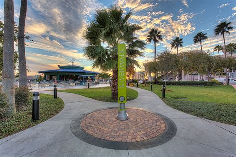15 Best Things to Do in Tampa (FL) - The Crazy Tourist | Tampa attractions, Tampa riverwalk, Tampa