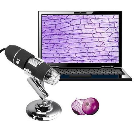 USB Digital Microscope - 1000x Magnification – Puralty