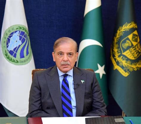 Prime Minister Muhammad Shehbaz Sharif addresses the 23rd SCO Summit ...