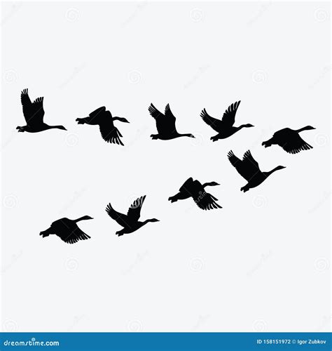 Flock Of Ducks. A Cartoon Flock Of Birds. Vector Illustration Of Flying Birds. Drawing For ...