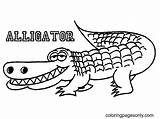 64 Free Printable Alligator Coloring Pages sketch template