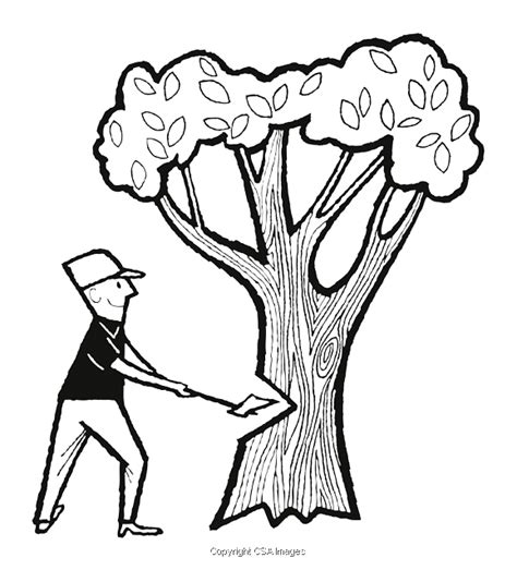 Man Chopping Down a Tree | #T83368 | CSA Images