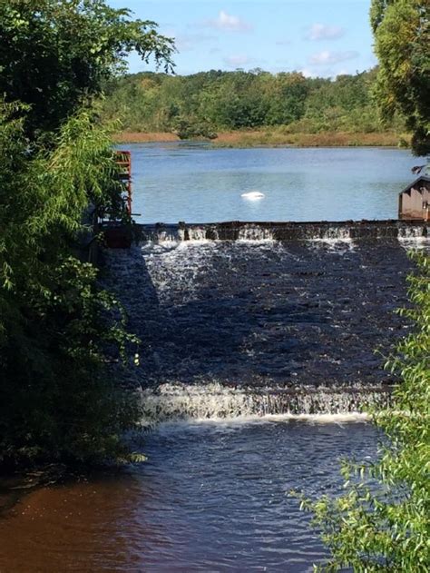 Old Mill Pond Dam Fish Passage, Wreck Pond Brook, New Jersey – Atlantic Coastal Fish Habitat ...