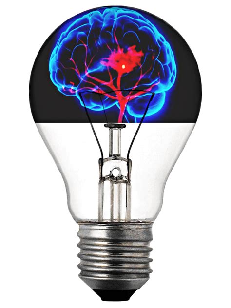 Free picture: photomontage, light bulb, brain, inspiration, electricity, invention