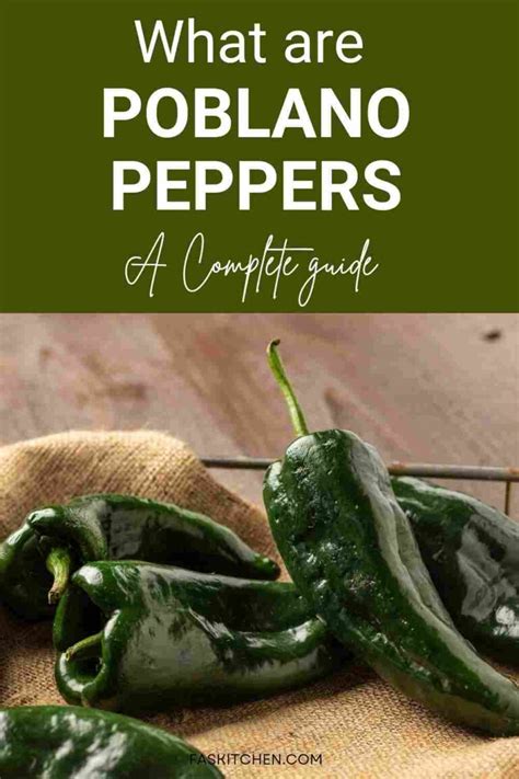 Poblano Peppers 101: Nutrition, Benefits, How To Use, Buy, Store ...