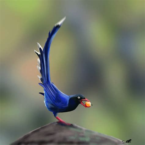 Formosan blue magpie Urocissa caerulea by Great-Skua on DeviantArt