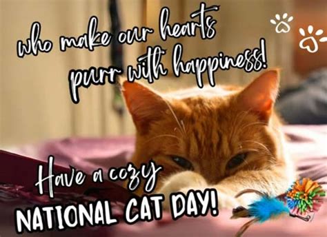 Cozy National Cat Day Wish! Free National Cat Day eCards, Greeting ...