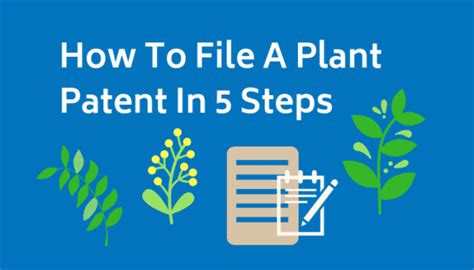 How To File A Plant Patent In 5 Steps | Bold Patents