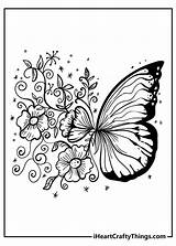 Butterfly Flower Adult Coloring Pages sketch template