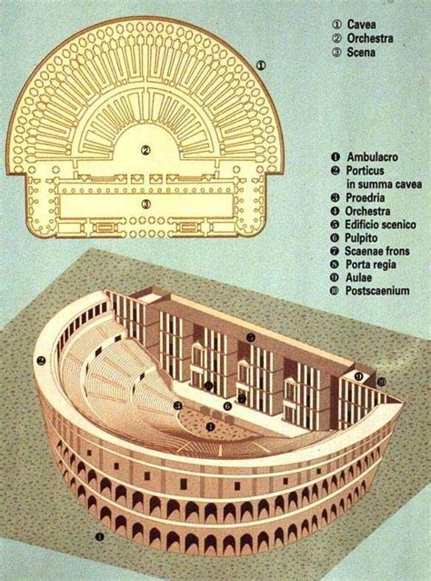 Roman theatre layout with key and terms | Roman history, Roman theatre, Ancient architecture