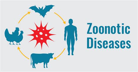 15 Intriguing Facts About Zoonotic Diseases - Facts.net