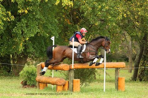 ETB Equine Construction | Cross-Country Jump Building & Course Design