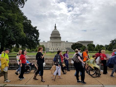 Human Rights Organizations’ Rally For Employing The Disabled And What ...