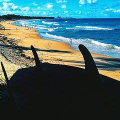 Category:Beaches of Pernambuco - Wikimedia Commons