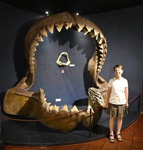 Megalodon Jaws