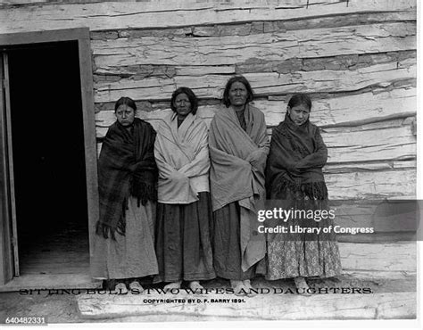 30 Sitting Bull Family Stock Photos, High-Res Pictures, and Images ...