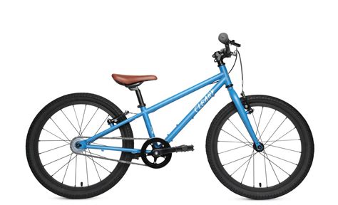 10 Best 20 Inch Mountain Bikes Your Child Will Love - Rascal Rides