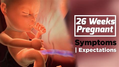 26 Weeks Pregnant | Pregnancy Week By Week Symptoms | The Voice Of Woman - YouTube