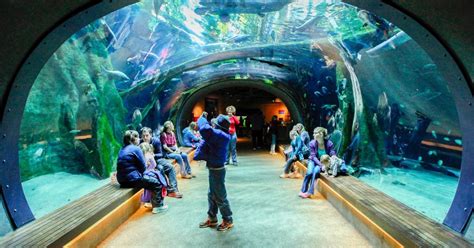 San Francisco: ticket California Academy of Sciences | GetYourGuide