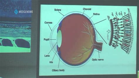 Symposium on “Genetics of Retinitis Pigmentosa and Potential for Therapy” – hosted by MedGenome ...