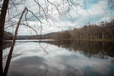 Family Friendly: Radnor Lake State Park · Lemons to Love