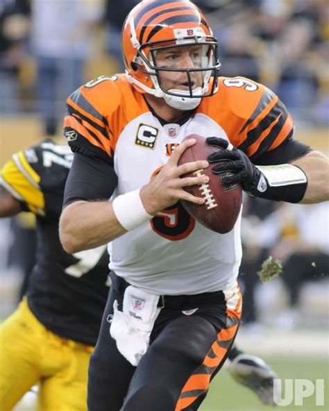 Photo: Cincinnati Bengals quarterback Carson Palmer Scrambles in ...