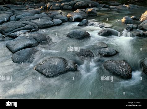 Kafue River rapids, Kafue National Park, Lusaka Province, Zambia Stock ...