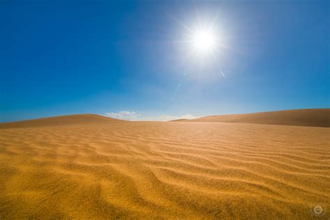 Desert Background - High-quality Free Backgrounds