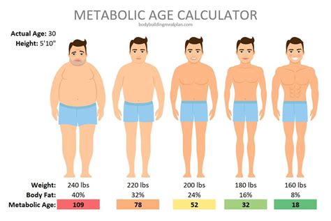 Metabolic Age Calculator + 7 Simple Steps To Lower Metabolic Age