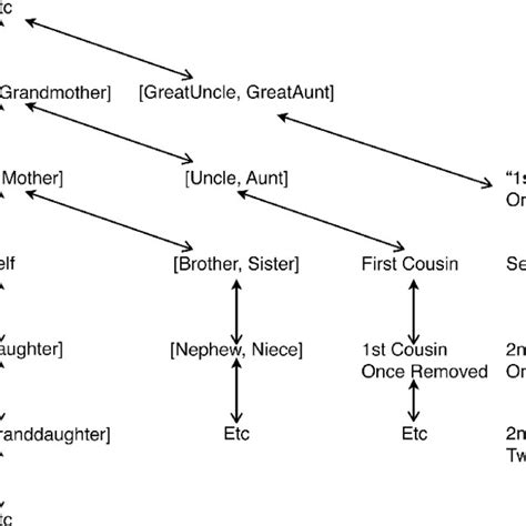 Simpliªed kin term map for the English kinship terminology. Afªnal... | Download Scientific Diagram