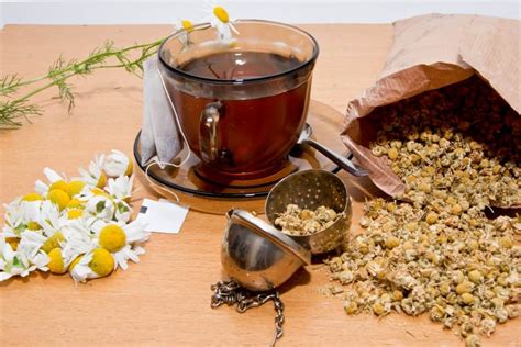 Chamomile Benefits for Skin and Hair – Modern Vintage Ville